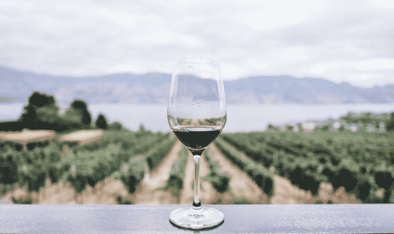 a glass of wine in a vineyard